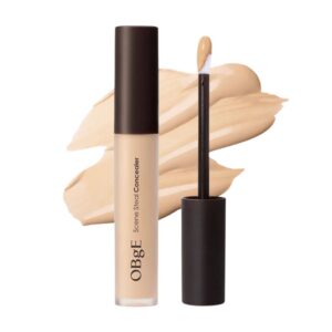 OBgE Scene Steal Concealer 搶鏡遮瑕膏